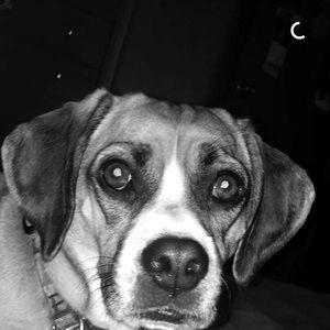 Meet your Posher, Emma